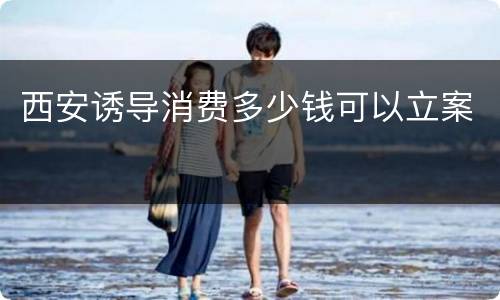西安诱导消费多少钱可以立案