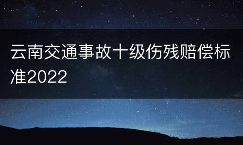 云南交通事故十级伤残赔偿标准2022