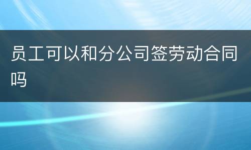 员工可以和分公司签劳动合同吗