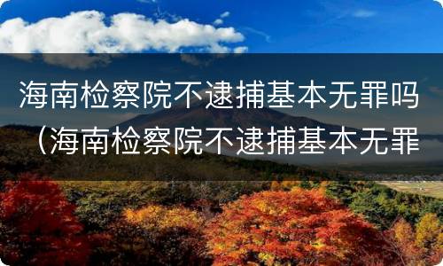 海南检察院不逮捕基本无罪吗（海南检察院不逮捕基本无罪吗）