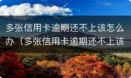 多张信用卡逾期还不上该怎么办（多张信用卡逾期还不上该怎么办呢）