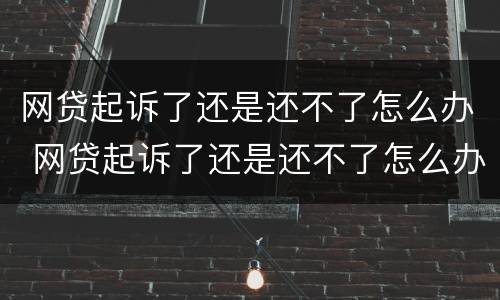 网贷起诉了还是还不了怎么办 网贷起诉了还是还不了怎么办呢