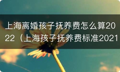 上海离婚孩子抚养费怎么算2022（上海孩子抚养费标准2021）