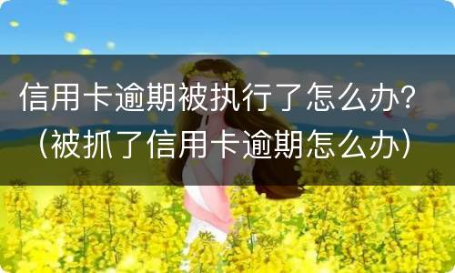 信用卡逾期被执行了怎么办？（被抓了信用卡逾期怎么办）