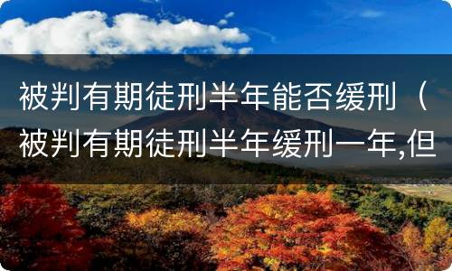 被判有期徒刑半年能否缓刑（被判有期徒刑半年缓刑一年,但一直没执行）