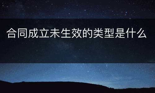 合同成立未生效的类型是什么