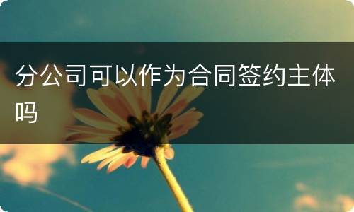 分公司可以作为合同签约主体吗