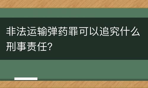 非法运输弹药罪可以追究什么刑事责任？