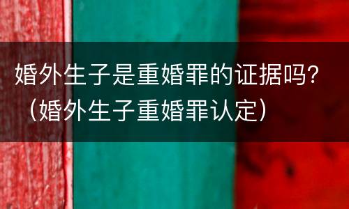 婚外生子是重婚罪的证据吗？（婚外生子重婚罪认定）