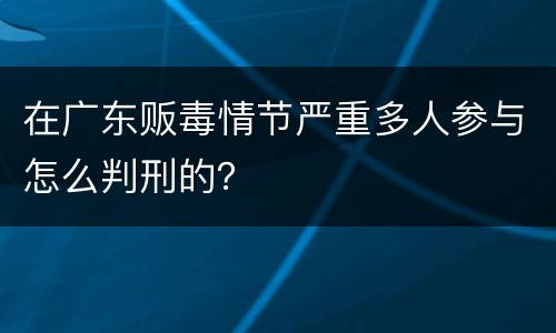 在广东贩毒情节严重多人参与怎么判刑的？
