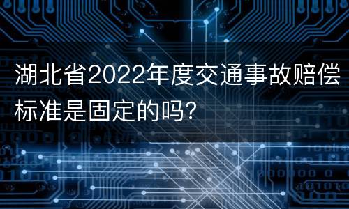 湖北省2022年度交通事故赔偿标准是固定的吗？