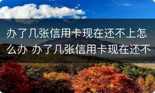 办了几张信用卡现在还不上怎么办 办了几张信用卡现在还不上怎么办呢