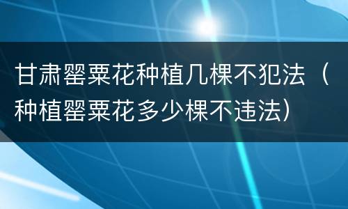 甘肃罂粟花种植几棵不犯法（种植罂粟花多少棵不违法）