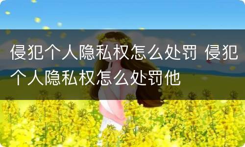 侵犯个人隐私权怎么处罚 侵犯个人隐私权怎么处罚他