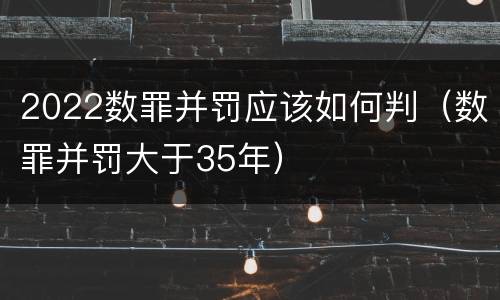 2022数罪并罚应该如何判（数罪并罚大于35年）