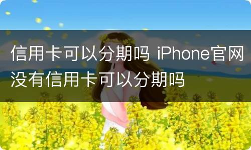 信用卡可以分期吗 iPhone官网没有信用卡可以分期吗