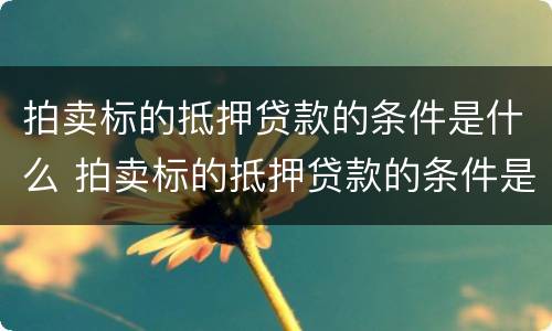 拍卖标的抵押贷款的条件是什么 拍卖标的抵押贷款的条件是什么意思