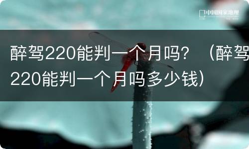 醉驾220能判一个月吗？（醉驾220能判一个月吗多少钱）