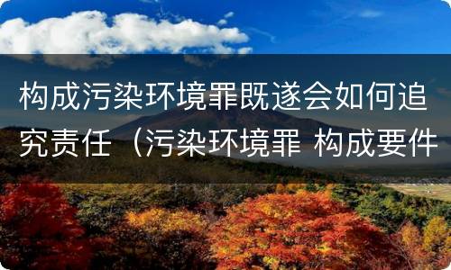 构成污染环境罪既遂会如何追究责任（污染环境罪 构成要件）