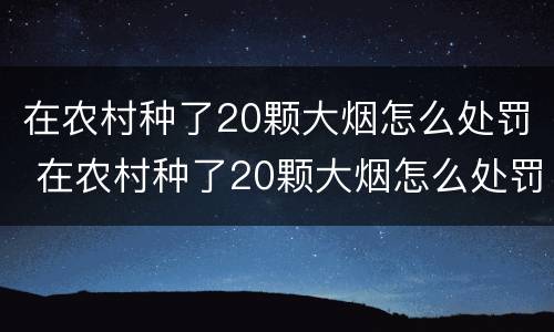 在农村种了20颗大烟怎么处罚 在农村种了20颗大烟怎么处罚的
