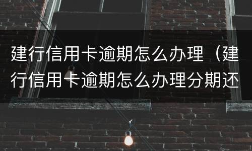 建行信用卡逾期怎么办理（建行信用卡逾期怎么办理分期还款）