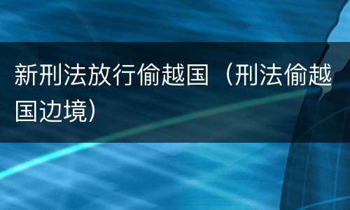 新刑法放行偷越国（刑法偷越国边境）