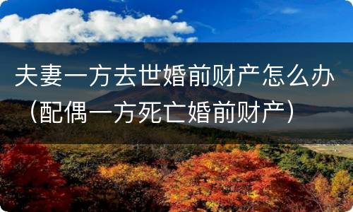 夫妻一方去世婚前财产怎么办（配偶一方死亡婚前财产）