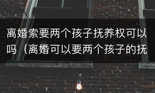 离婚索要两个孩子抚养权可以吗（离婚可以要两个孩子的抚养权吗）
