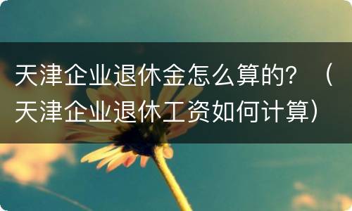 天津企业退休金怎么算的？（天津企业退休工资如何计算）