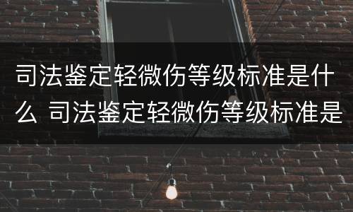 司法鉴定轻微伤等级标准是什么 司法鉴定轻微伤等级标准是什么样的