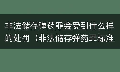 非法储存弹药罪会受到什么样的处罚（非法储存弹药罪标准）