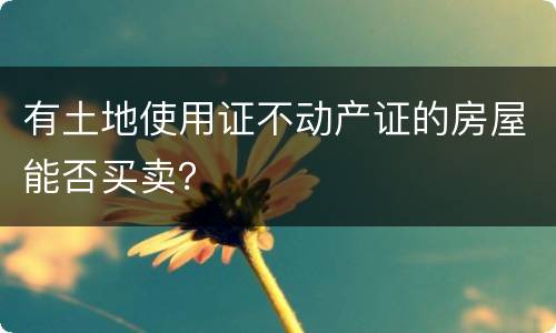 有土地使用证不动产证的房屋能否买卖？