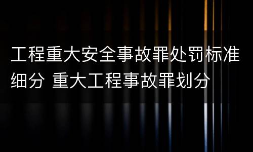 工程重大安全事故罪处罚标准细分 重大工程事故罪划分