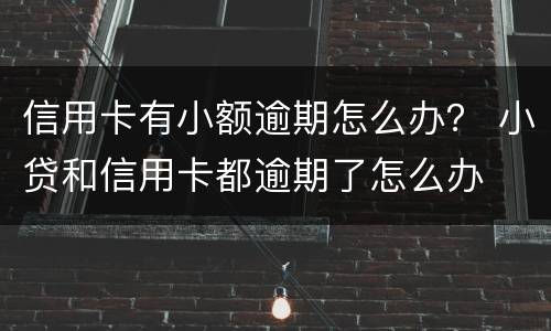 信用卡有小额逾期怎么办？ 小贷和信用卡都逾期了怎么办