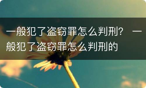 一般犯了盗窃罪怎么判刑？ 一般犯了盗窃罪怎么判刑的