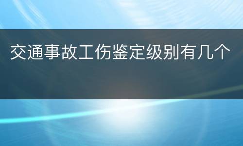 交通事故工伤鉴定级别有几个