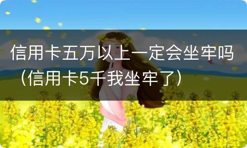 信用卡五万以上一定会坐牢吗（信用卡5千我坐牢了）