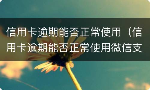 信用卡逾期能否正常使用（信用卡逾期能否正常使用微信支付）