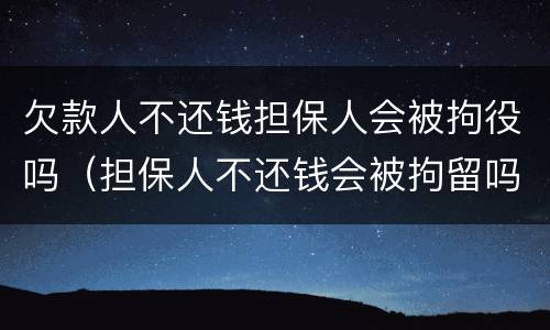 欠款人不还钱担保人会被拘役吗（担保人不还钱会被拘留吗）