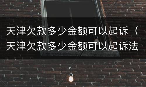 天津欠款多少金额可以起诉（天津欠款多少金额可以起诉法院）