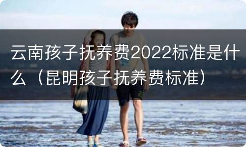 云南孩子抚养费2022标准是什么（昆明孩子抚养费标准）