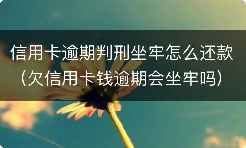 信用卡逾期判刑坐牢怎么还款（欠信用卡钱逾期会坐牢吗）