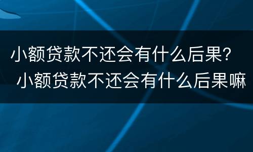 小额贷款不还会有什么后果？ 小额贷款不还会有什么后果嘛