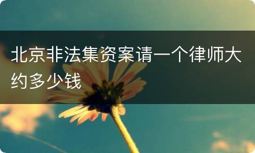 北京非法集资案请一个律师大约多少钱