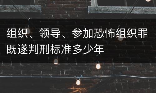组织、领导、参加恐怖组织罪既遂判刑标准多少年