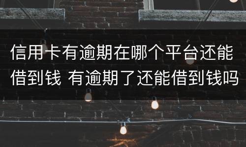 信用卡有逾期在哪个平台还能借到钱 有逾期了还能借到钱吗