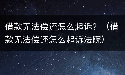 借款无法偿还怎么起诉？（借款无法偿还怎么起诉法院）