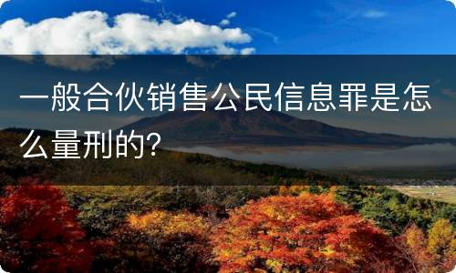 一般合伙销售公民信息罪是怎么量刑的？