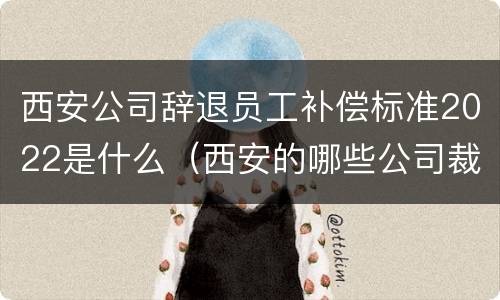 西安公司辞退员工补偿标准2022是什么（西安的哪些公司裁员了）