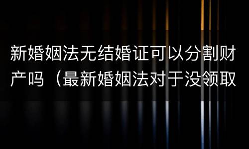 新婚姻法无结婚证可以分割财产吗（最新婚姻法对于没领取结婚证财产分割）